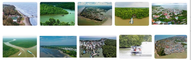 Định hướng Cần Giờ thành khu du lịch quốc gia