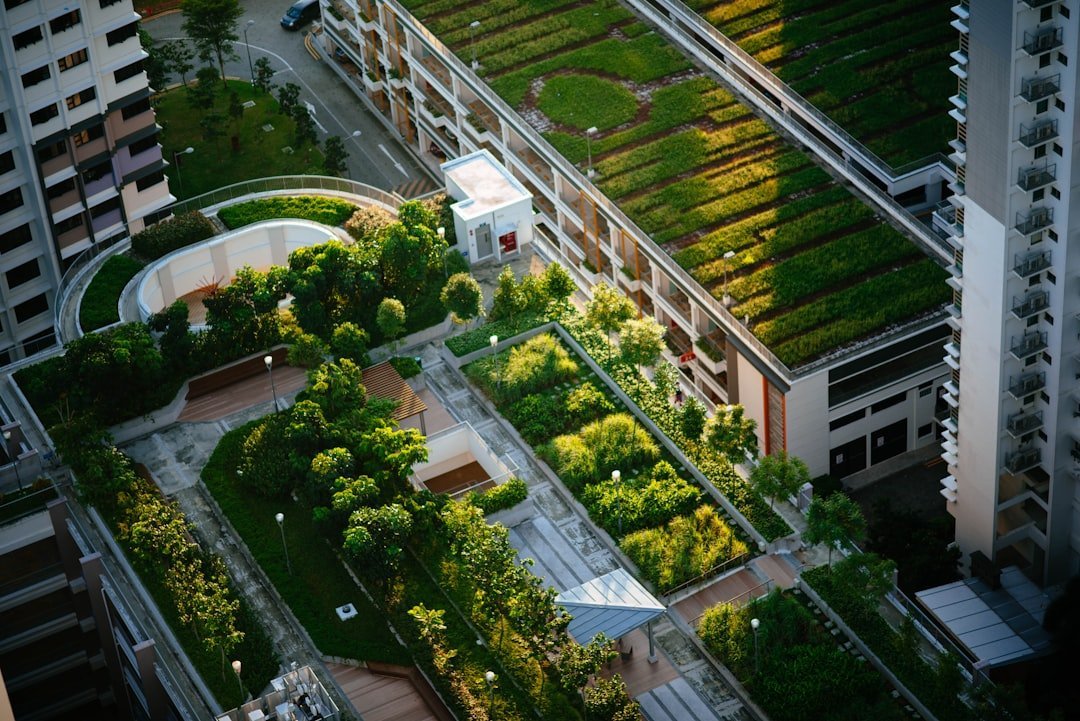 chứng chỉ BREEAM Communities Vinhomes Green Paradise — minh họa eco friendly urban planning greenery