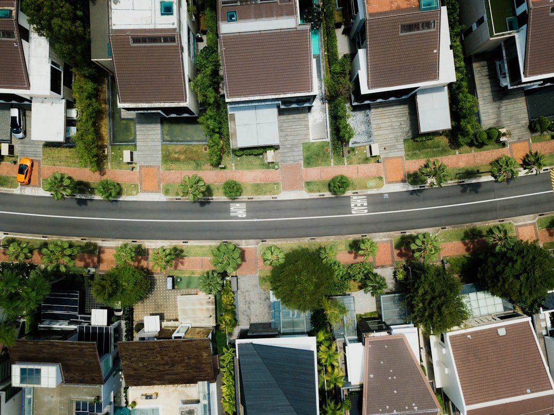 nhà phố Vinhomes Cần Giờ — minh họa paved residential street trees new development