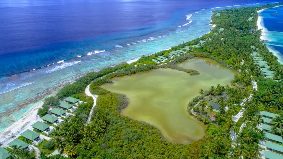 Paradise Lagoon Vinhomes Cần Giờ