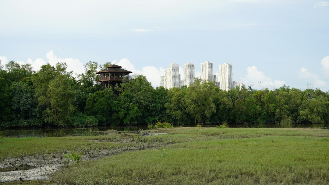 7 Kỳ quan Đô thị Tương lai — minh họa eco city mangrove lagoon aerial
