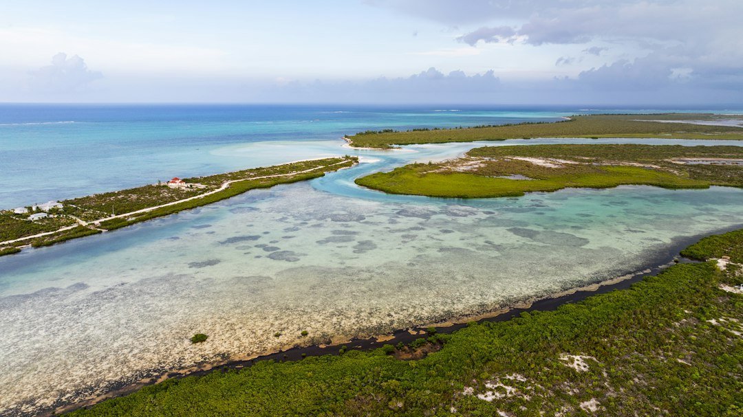Biệt thự Vinhomes Cần Giờ — minh họa coastal villa lagoon aerial